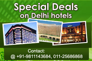 New Delhi Hotels